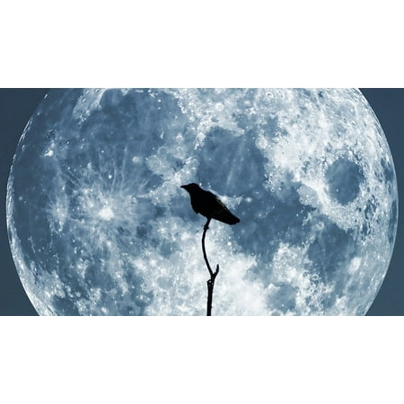 - LAMINATED POSTER Night Moon Collage Glowing Crow Blue Sky Poster Print 24 x 36