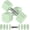 Green, variant on 22LBS Adjustable Dumbbells Set, Adjustable Weight Dumbbells with 4 Levels 4.4lb, 6.6lb, 8.8lb, 11lb, Hand Weights Sets for Women/Men Home Gym Full Body Workout
