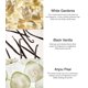 thumbnail image 2 of Perfume Victoria's Secret Fine Fragance Bundle Noir Tease, 2 of 5