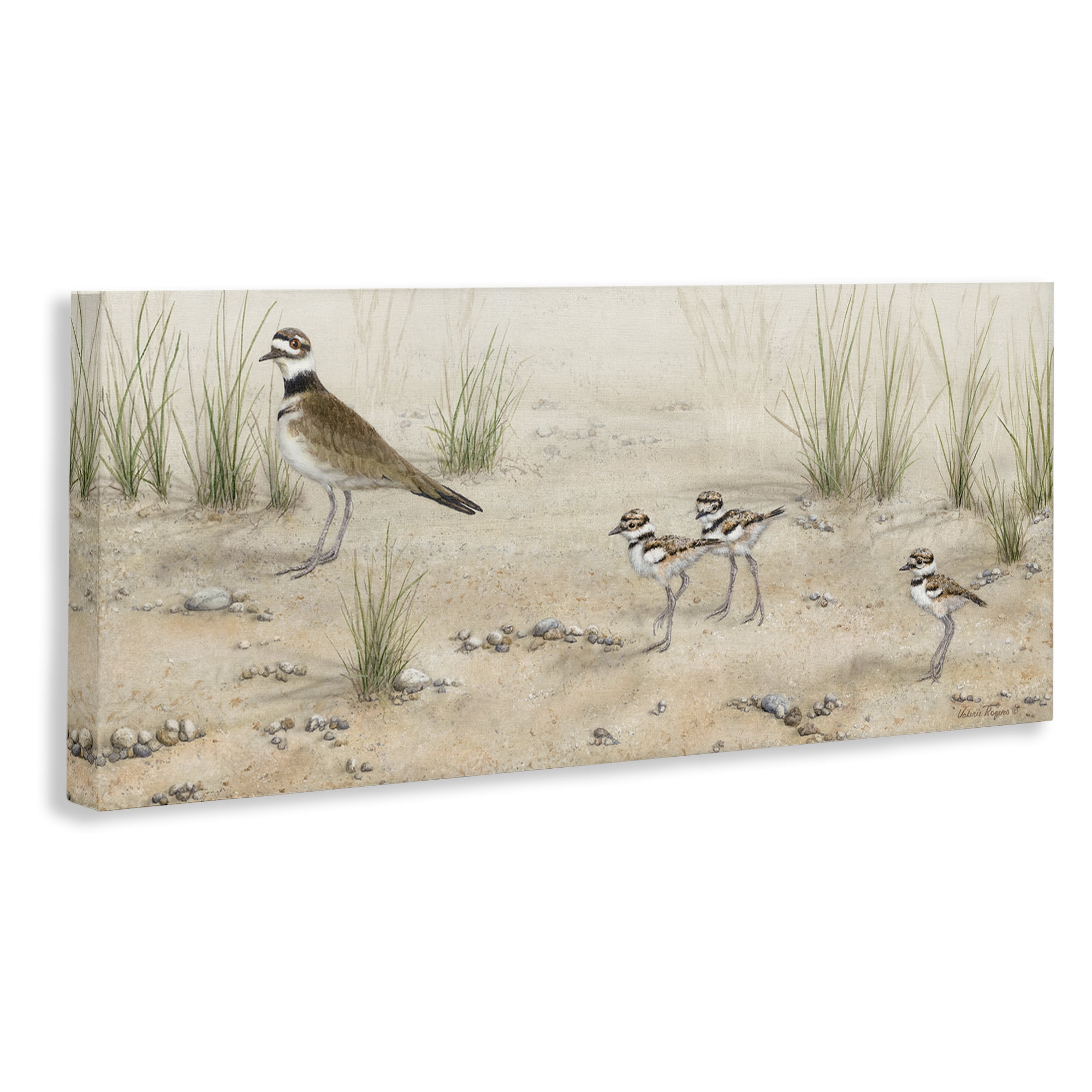 Stupell Industries Kildeer Birds Stepping Landscape & Nature Painting Wrapped Canvas Art Print Wall Art, 40 x 17