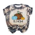 thumbnail image 1 of Camisas de Acción de Gracias Para Mujer, Camiseta Informal de Manga Corta Con Estampado de Calabaza Y Cuello Redondo, Camiseta Holgada, Blusa, Tops Odeerbi  ODB204519, 1 of 5