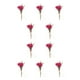 thumbnail image 2 of Naiovety Durabilidad y encanto duraderos en ramo de flores secas naturales, ramos de flores ecológicos HS-19, 2 of 6