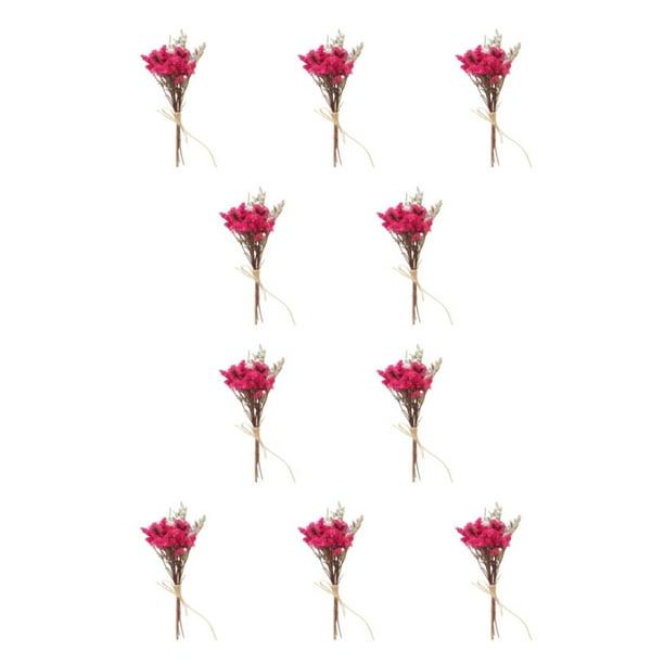 Inteprter Abrazar la naturaleza, ramo de flores secas naturales ecológico, elegante flor en relieve seca HS-19