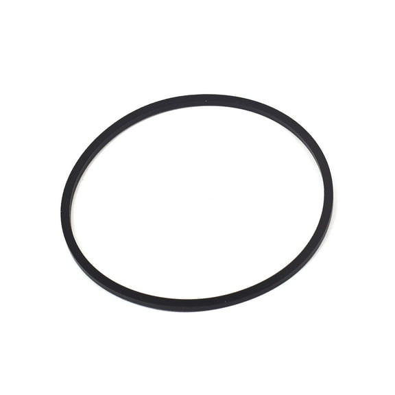 Briggs & Stratton OEM 698538  Gasket-Float Bowl