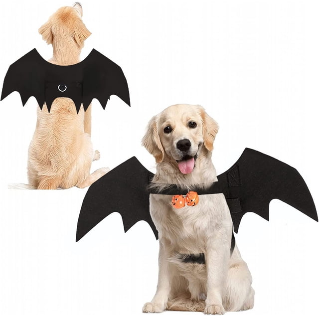 Disfraz de mascota Bowtus para Halloween con alas de murciélago y campanillas de calabaza
