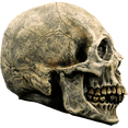 thumbnail image 5 of Adorno Calavera Humana Realista Decoración Terror Halloween, 5 of 5
