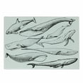 thumbnail image 1 of Whale Cutting Board, Hand Drawn Black and White Whales from Single Type Small and Big Image, Decorative Tempered Glass Cutting and Serving Board, Small Size, Black and White, by Ambesonne, 1 of 1