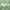 Sage Green, variant on OVZME White Sheer Curtains 84 Inch Length 4 Panels, Semi Transparent Voile Rod Pocket Sheer Window Drapes for Bedroom Bed Canopy Living Room Dining Wedding Party Backdrop, 4 Pack of 40W x 84L inch