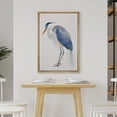 thumbnail image 2 of PixonSign Framed Canvas Print Wall Art Blue Heron Bird Portrait Pastel Watercolor Animals Wilderness Illustrations Modern Art Antique Vintage Farmhouse Relax/Calm/Cozy for Bedroom - 24"x36" Natural, 2 of 5