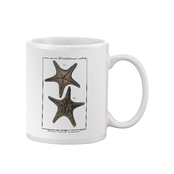 Sea Shell Xii Mug - Denis Diderot Designs,