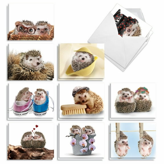 20 Blank All Occasion Cards Assorted (10 Designs, 2 Each) - Cards from the Hedge All Occasion (4" x 5.12") AM6541OCB-B2x10