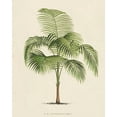thumbnail image 2 of Unknown 15x18 White Modern Wood Framed Museum Art Print Titled - Les Palmiers I, 2 of 4