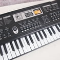 thumbnail image 3 of 61 Keys Kids Digital Music Electronic Keyboard Electric Piano Beginner Keyboard for Girls & Boys, Ages 4-8, 9-12, 13-19 with Microphone, 3 of 10