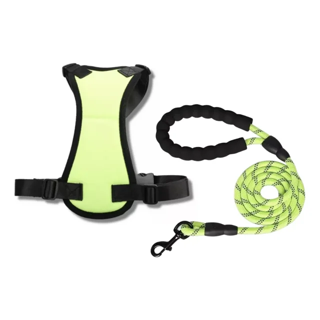 Correa P/ Perro Entrenamiento 180cm Antireflectiva +arnes Xl