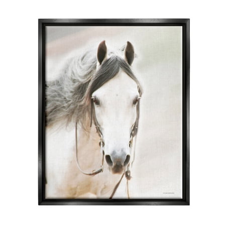 Stupell Industries White Horse Portrait Animals & Insects Photography Black Floater Framed Art Print Wall Art 25 x 31