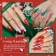 thumbnail image 4 of AZUREBEAUTY Kit de uñas en polvo de inmersión navideña, verde rojo con purpurina plateada, 12 piezas de líquido en polvo acrílico con activador de capa base/superior para manicura francesa, juego de r, 4 of 4