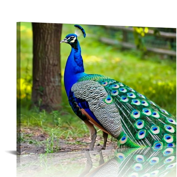 Creowell Peacock Feathers Wall Decor Canvas Art Ready To Hang 16x12in