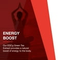 thumbnail image 5 of Protocol for Life Balance EGCg Green Tea Extract 200 mg - 90 Veg Caps, 5 of 8