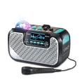 thumbnail image 4 of VTech® SuperSound Karaoke™ Mic and Big Sound Portable Speaker Wireless Connection, 4 of 9