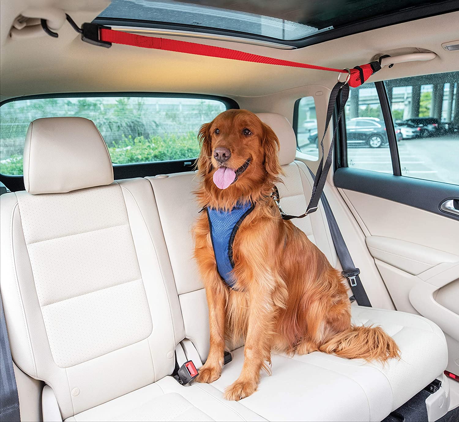 Petsafe Happy Ride Dog Zipline Back Seat Leash Great For Travel Walmart Com Walmart Com