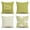 Natural, Light Green, variant on Throw Pillow Covers 18" x 18" Set of 4, Geometry Outdoor Square Pillow Cushion Cases, Modern Decorative Pillow Covers for Couch So