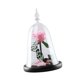 thumbnail image 5 of Regalo de flor de rosa Flor eterna para siempre Regalo de San Valentín Regalo romántico para Rosa oscuro, 5 of 9
