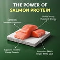 thumbnail image 6 of Nature's Protection Superior Care Dry Dog Food, White Coat Puppies, Grain-Free Salmon, 3.3lb, 6 of 9