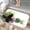 Zen Stones and Water Lily, variant on 1pc Raccoon with Toilet Paper Absorbent Non-Slip Bathroom Thickened Flannel Rug Decor,Soft,Quick Drying,Suitable For Indoor/outdoor Use,Bathrooms,Bedrooms,Kitchens,Terrace,Laundry Rooms,16"x24"