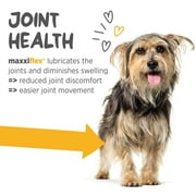 maxxiflex+ Hip & Joint Supplement for Dogs with Glucosamine, Chondroitin, MSM & Collagen | Mobility, Flexibility & Discomfort Support | Senior, Adult & All Breeds | 120 Tablets