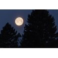 thumbnail image 2 of The Yellowstone Collection 18x13 Gold Ornate Wood Framed with Double Matting Museum Art Print Titled - Full Moon sets Over Sepulcher Mountain, Yellowstone National Park, 2 of 4