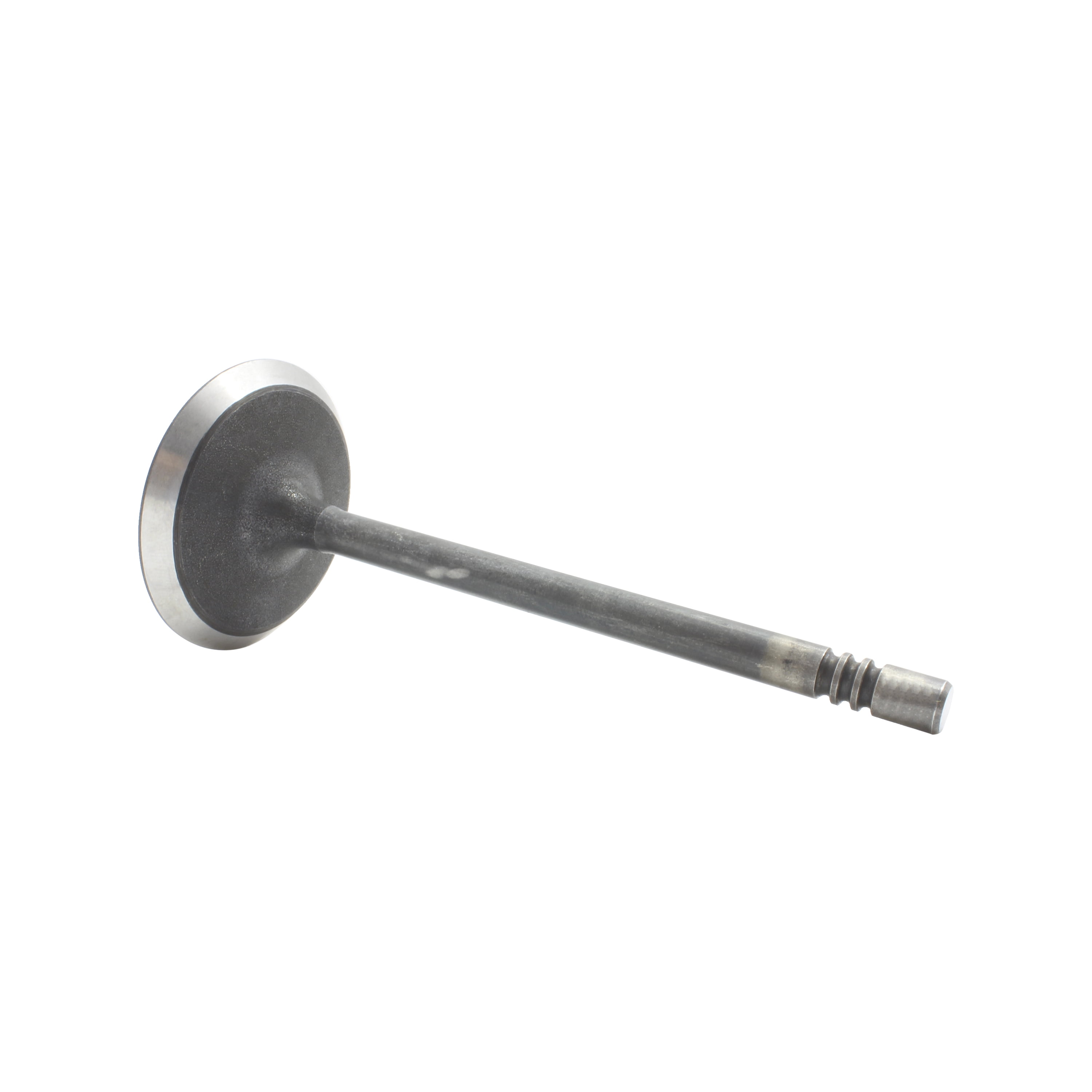 DNJ IV1100 Intake Valve Fits Cars & Trucks 99-12 Chrysler Dodge 1500 Aspen 3.7L SOHC 12v 16v