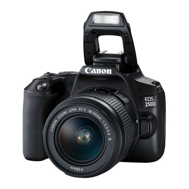 Canon Eos 250d Flash