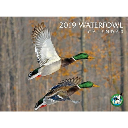 2019 Waterfowl Wall Calendar, by Silver Creek