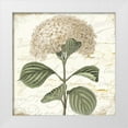 thumbnail image 1 of Sophie 6 26x26 White Modern Wood Framed Museum Art Print Titled - Hydrangea Cream I, 1 of 4