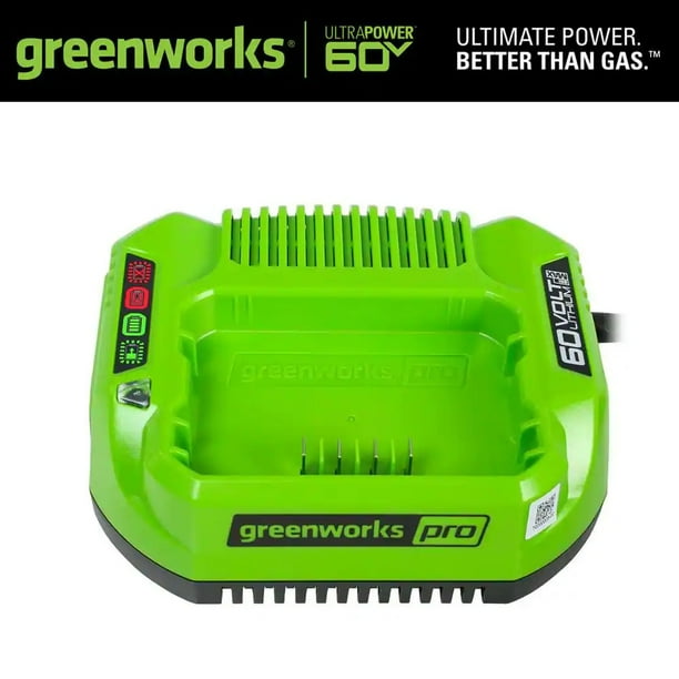 Greenworks PRO 60Volt Standard Charger 60v CAC801