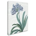 thumbnail image 2 of Trademark Fine Art 'Summer Botanicals I' Canvas Art by Wild Apple Portfolio, 2 of 3