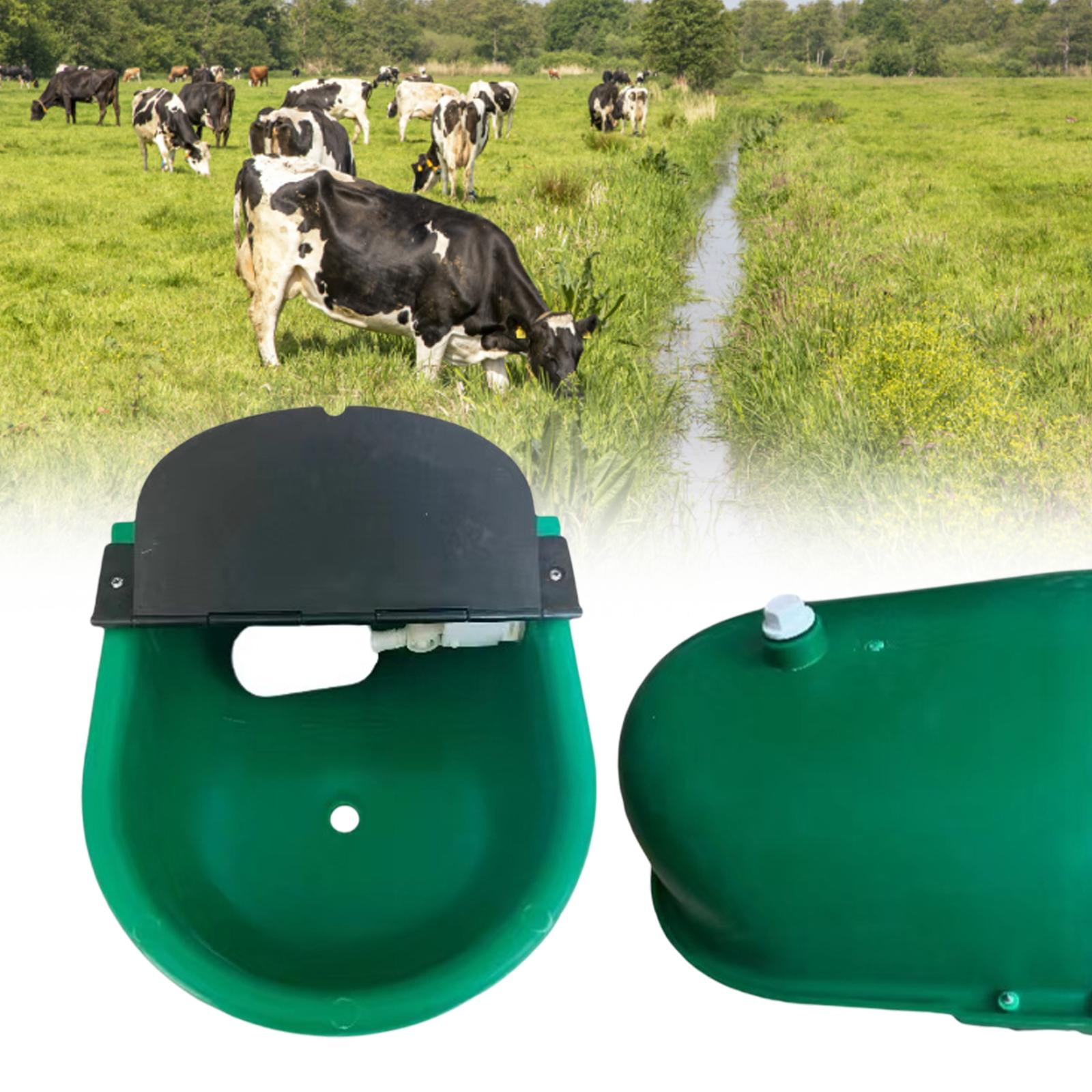 Automatic water clearance bowl for cows