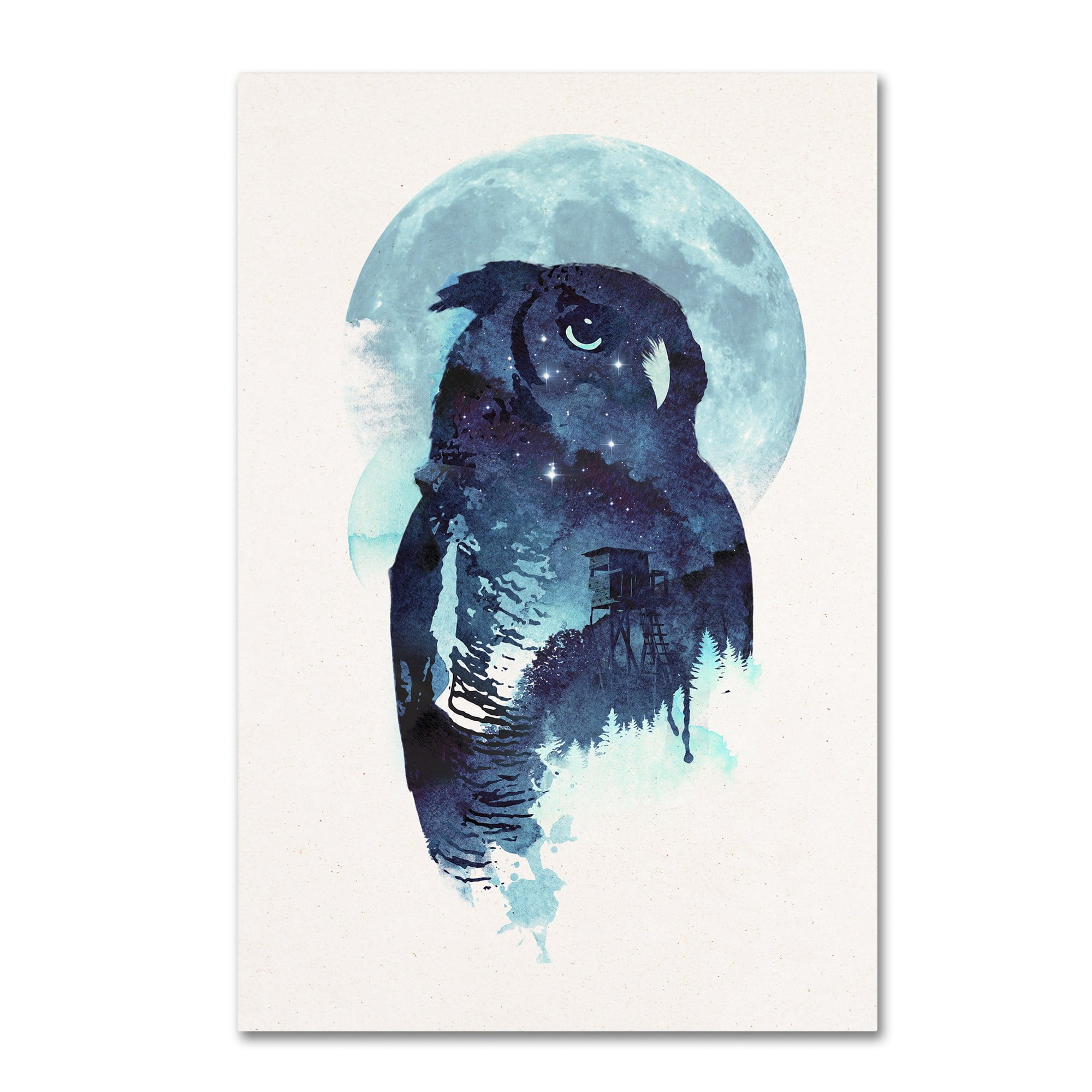 Trademark Fine Art 'Midnight Owl' Canvas Art by Robert Farkas