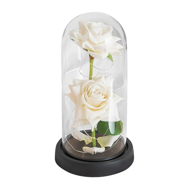Regalos del día de San Valentín para su flor preservada para la esposa de la graduación base