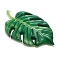 thumbnail image 2 of Flotador Inflable de Palmera Intex Para Playa y Alberca 58782EU, 2 of 3