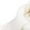 White, variant on Little/Big Kids Wide Toe Box Tennis Shoes | Athletic Running Sneakers for Boys/Girls(White,10.5-11 Years)