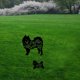 thumbnail image 4 of Silueta Animal Estaca Perro Decoración De Jardín Silueta De Perro Negro Para Camino De Césped Acera 2 Unids/Set Monstrate HA035026-00, 4 of 6