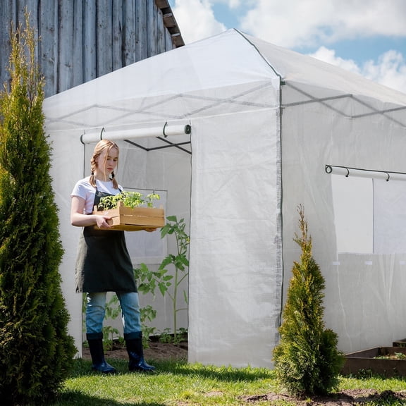 EAGLE PEAK 10'x 10' Portable Walk-in Greenhouse Instant Pop-up Easy Setup Indoor Outdoor Plant Gardening Green House Canopy, Front and Rear Roll-Up Zipper Entry Doors and 2 Large Roll-Up Side Windows
