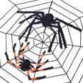 thumbnail image 2 of Baohd Cobweb Super Stretch Animal Web Net Tricky Toy Prop Indoor Outdoor Halloween Decoration, Black, 1.5m, 2 of 7