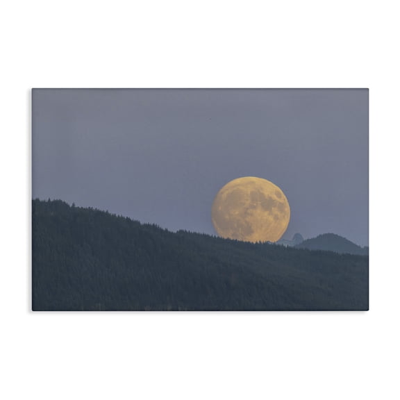 Stupell Industries Majestic Moonrise Landscape Landscape & Nature Photography Wrapped Canvas Canvas Art Print Wall Art, 24 x 16