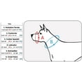 thumbnail image 3 of Adjustable Dog Muzzle 6 Sizes Green (XL: 12"-15" Snout Circumf.), 3 of 3