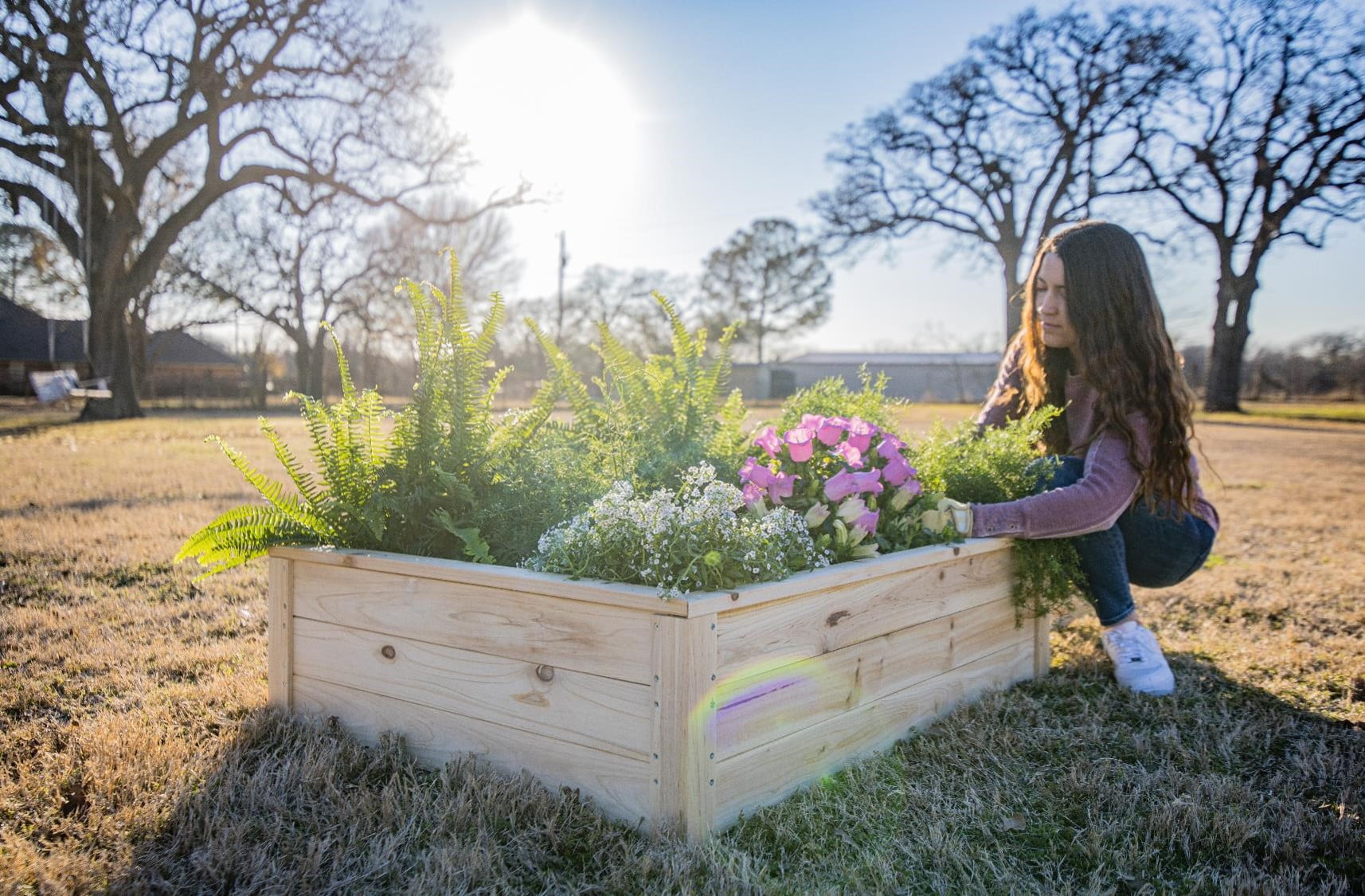 Zylina Superior Raised Wood Planter Garden Bed Box or Backyard - Natural 46"(L) x 35"(W) x 12"(H)