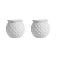 thumbnail image 2 of Sltwyw 2-Pack Clear Hydroponic Plant Pots Indoor - Self Watering Small Potted Planters for Desktop, Propagation Pots for Green Plants, 2 of 6