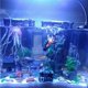thumbnail image 3 of Cofre del tesoro y buzo adorno de acuario con movimiento de burbujeador de aire de acción en vivo, 3 of 5