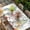 White, variant on Gnomes Easter Table Cloths for 8 Foot Rectangle Tables, Eucalyptus Spring Floral Eggs Leaves Rustic Patio Waterproof Elastic Fitted Tablecloths, Washable Rectangular Table Cover for Camping